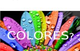 Como creamos los colores
