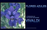 Vivaldi Y Las Flores Azules[1] Ss