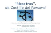 Diagnóstico Comunitario de Castillo del Romeral. San Bartolome de Tirajana. Gran Canaria. 2011