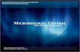 Microbiologia General: Microorganismos