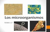Tema 17. Biología de los Microorganismos
