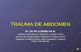 Trauma De Abdomen Dr. Llewelyn