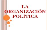 La organización politica 10°