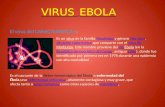 Presentacion de ebola 2