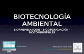 Biotecnología ambiental ppt