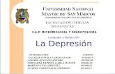 La depresión.Grupo 7