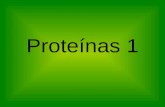 Prácticas con Proteínas