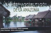 La Internacionalizaciçon de la Amazonia