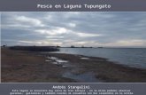 Pesca en Laguna Tupungato | Andrés Stangalini