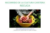 Cultura Cafetera RECUCA