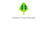 Calathea Project Manager ES
