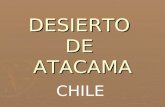 Desierto De  Atacama[1]