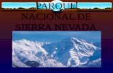 P.N. Sierra Nevada