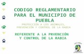 Reglamento Puebla Rabia prevencion y control