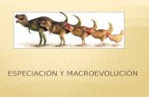 Especiación y macroevolución