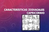 Caracteristicas zodiacales   capricornio