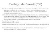Esofago barrett (m. viciana)