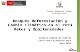 Presentación bosques deforestación y cambio climático en el perú comuni cop