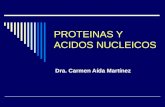 Proteinas y acidos nucleicos 08