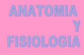 Anatomia  fisiologia 1