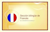 Presentación programa bilingüe 2009 2010