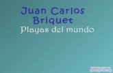 Juan Carlos Briquet - las mejores playas del mundo