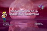 Organización de la seguridad industrial