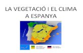 VEGETACION Y CLIMA EN ESPAÑA.