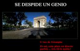 Sedespideun Genio La France G