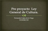 Fernando Cajías. Pre proyecto  ley general de cultura