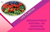 Enciclopedia virtual de ciencias naturales