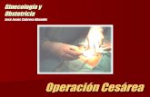 OPERACION CESAREA E HISTERECTOMIA OBSTETRICA