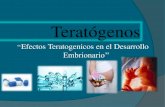 Efecto teratogenico durante el embarazo.