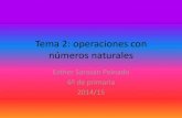 Tema 2: Operaciones o números naturales.