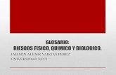 RIESGOS FISICOS-BIOLOGICOS-QUIMICOS