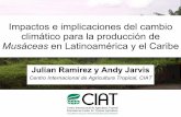 Julian R - Impactos e implicaciones del cambio climatico en la produccion de musaceas de Latinoamerica y el Caribe, Costa Rica Nov 2009