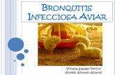 Bronquitis Infecciosa Aviar (BIA)