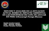 Renée Condori Apaza, Impacto Ambiental-Industria Azucarera