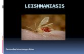 Leishmaniasis y bartonella