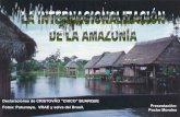 La Internacionalización de la Amazonia