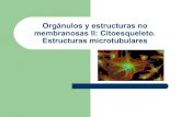 Citoesqueleto y estructuras microtubulares