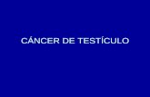Cancer testiculo