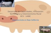 Extensionismo rural: porcicultura en Baja california