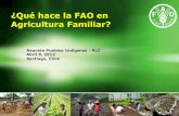 ¿Qué hace FAO en Agricultura Familiar?