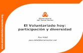 2012 06 El Voluntariado hoy: participación y diversidad