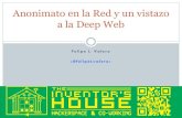 Anonimato en la Red y un vistazo a la Deep Web