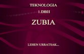 Blog Zubia 1