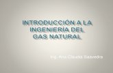 introduccion del gas natural