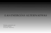 Trabajo Energia Alternativa
