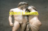 Venus y adonis